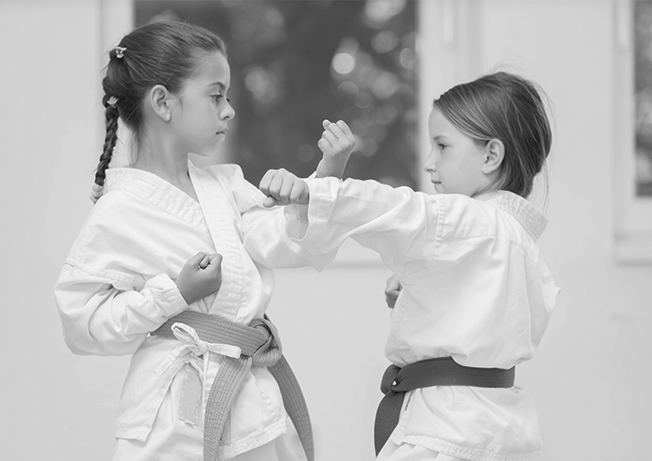 Self Defense Program
